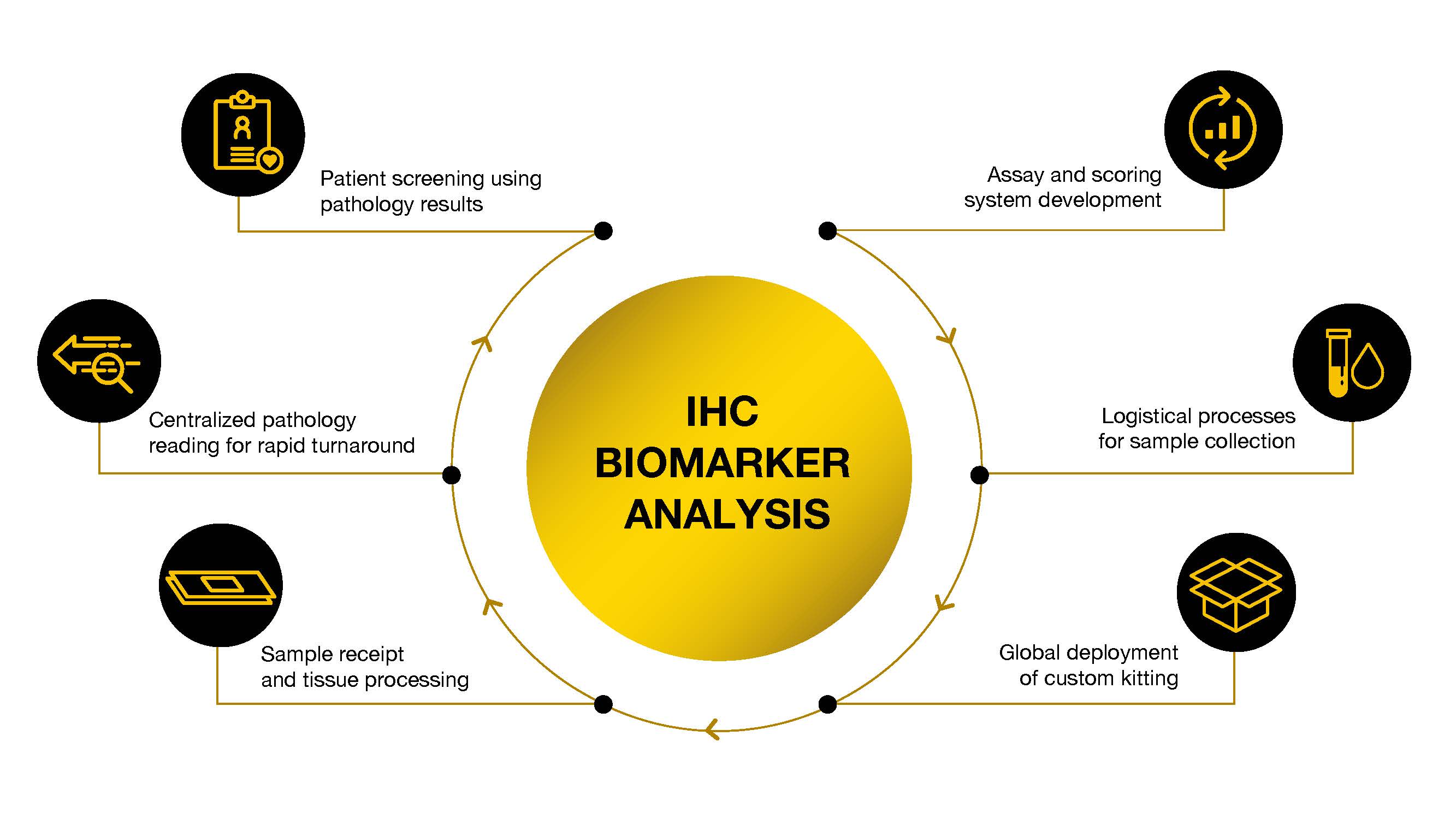 #6_immunohistochemistry_diagram