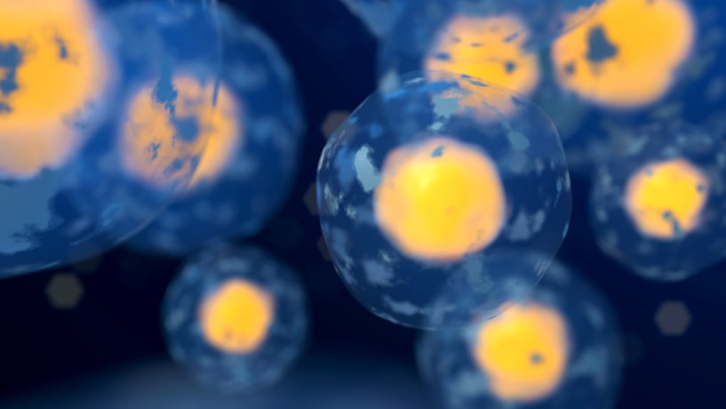 61. Cells under microscope