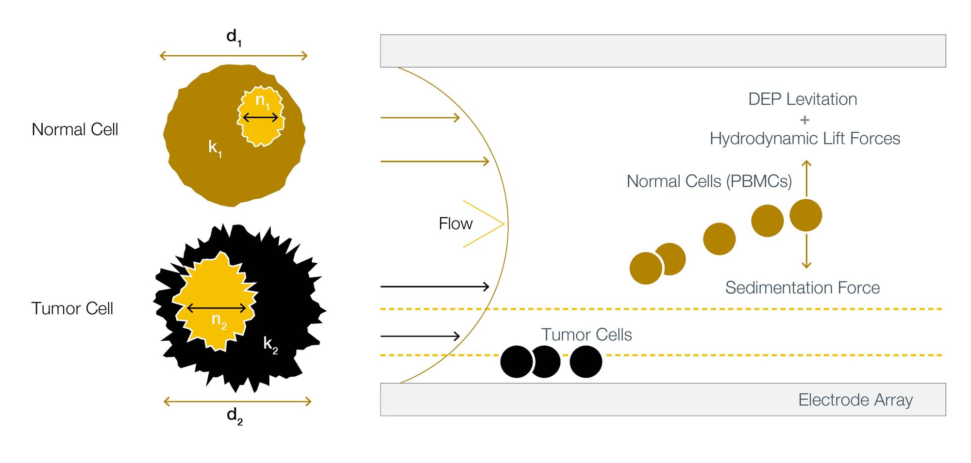 ApoStream explanation ApoStream explanation