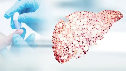 Using Epigenetic Immunophenotyping to Explore Potential Biomarkers in Hepatocellular Carcinoma