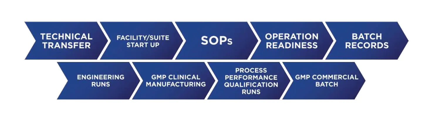 Capture July 8 Squoosh