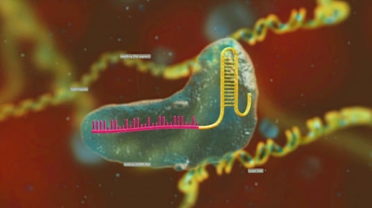 Therapeutic Genome Editing