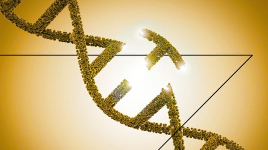 Case Study: Rapid Startup Phase 1 Cardiomyopathy CRISPR Gene Therapy