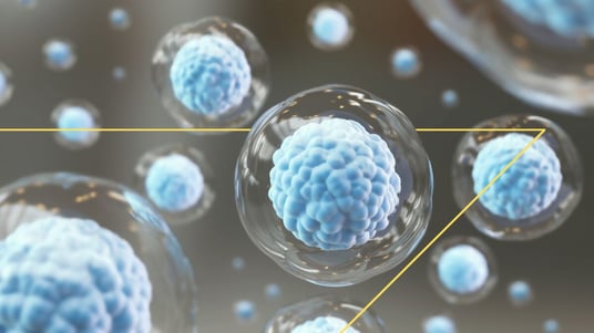 Clinical Trial Landscape: Cell Therapies