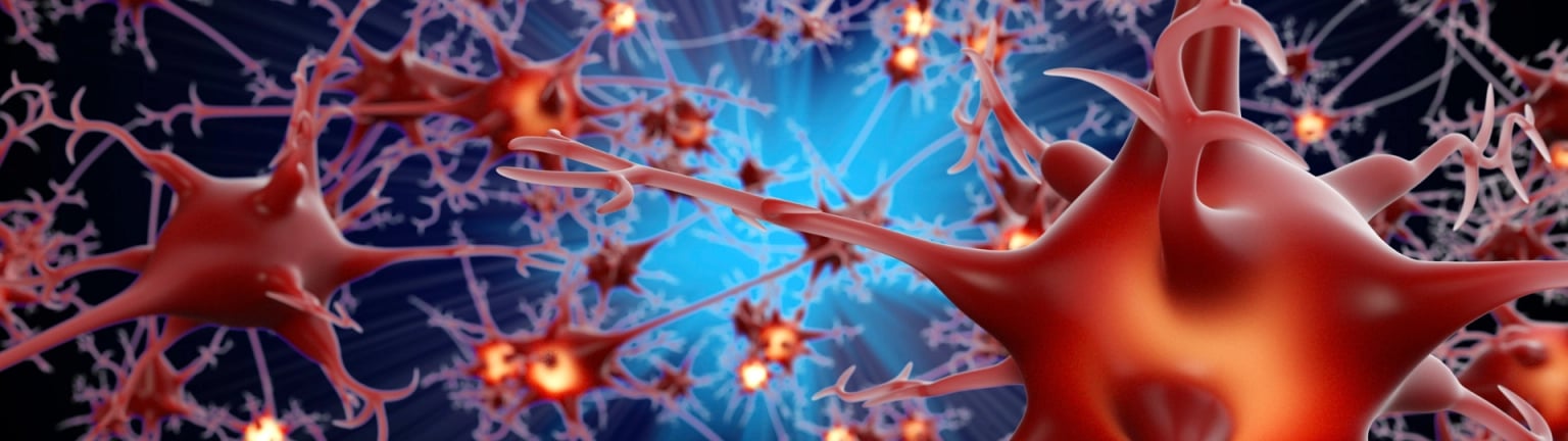 CNS-Synapse-1536x432