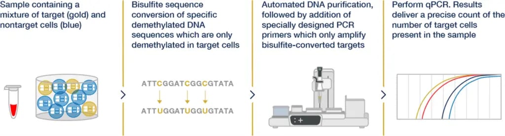 Immune Monitoring Workflow
