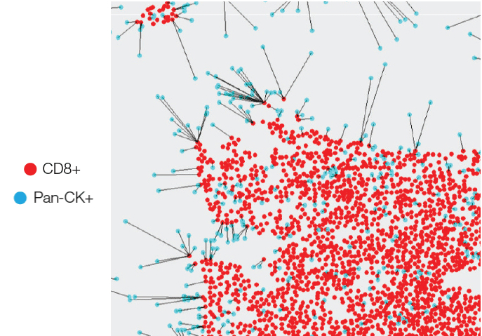 Nearest neighbor analysis