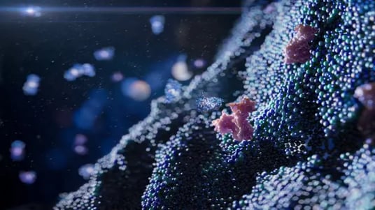 Advancing Clinical Development of Immuno-modulatory Therapies with Flow Cytometry-Based Receptor Occupancy Assays