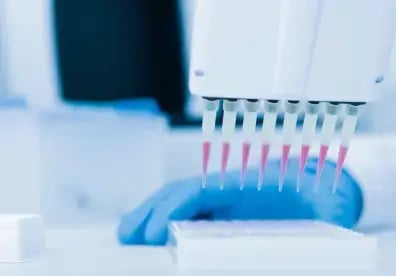 particles-global-cro