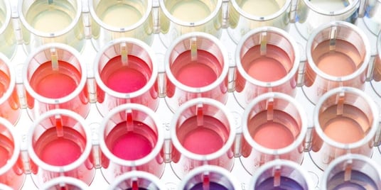 Protein Assays: Choosing the Most Effective Method for Biopharmaceutical Development