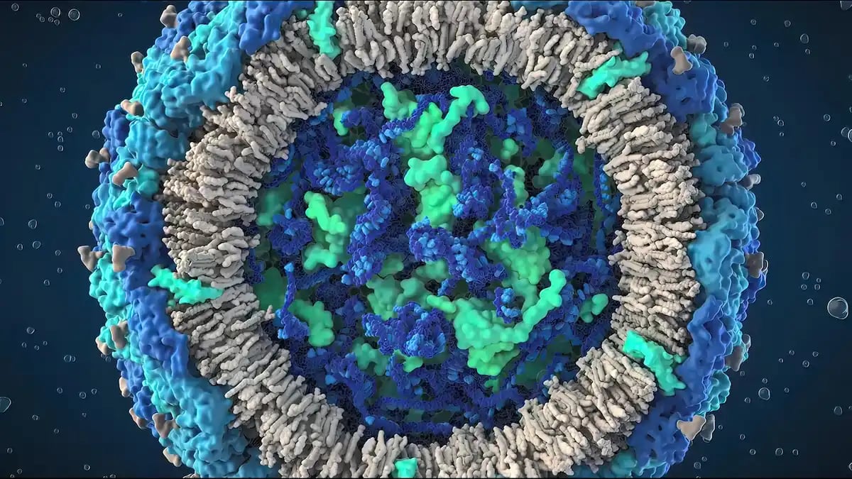 shutterstock_2145486415