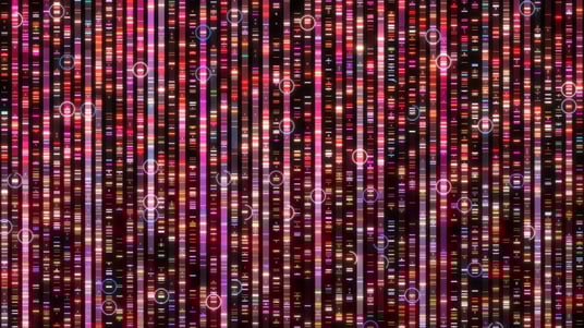 4 Success Strategies for Biomarker-Driven Clinical Trials