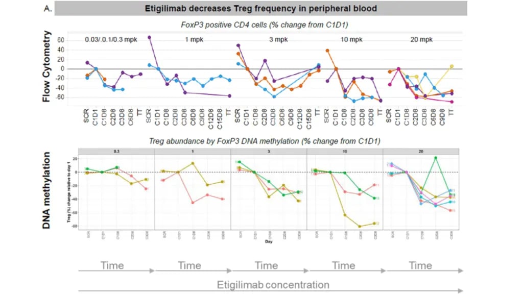 Suivi Treg Immuno-oncologie