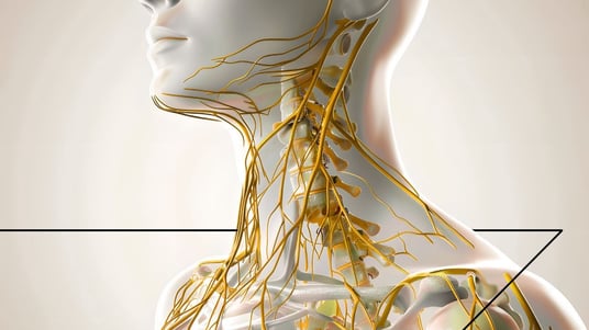 The Immune System's Secret Language: Unlocking Cellular Communication