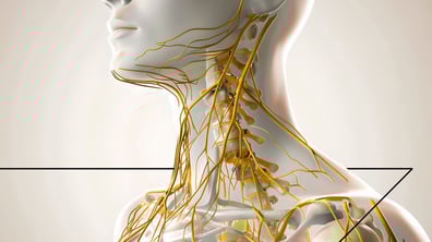 The Immune System's Secret Language: Unlocking Cellular Communication