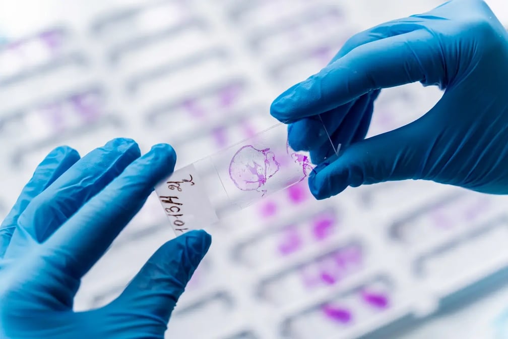 tissues-overview-hero