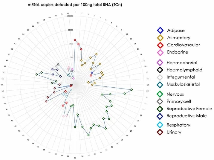 XpressWay Profiles Example (1)