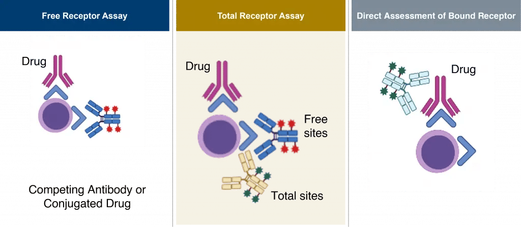 Assay Formats 1024x447