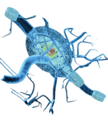 BG-Oncology and Immuno-Oncology