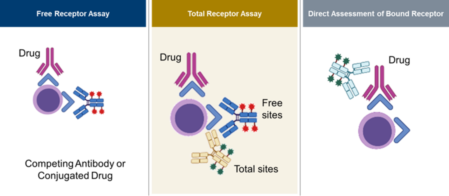 Basic-formats-for-receptor-occupancy-RO-assays-1536x671