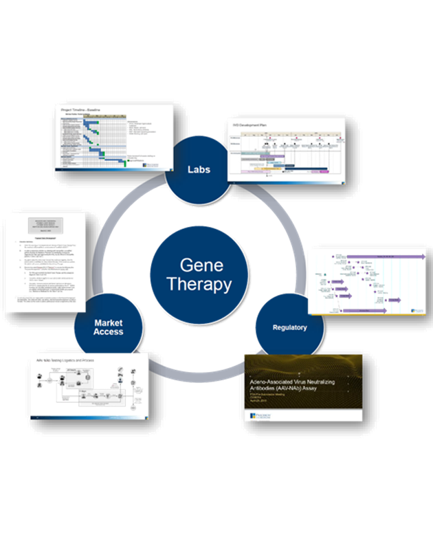cdx_case-study_gene-therapy