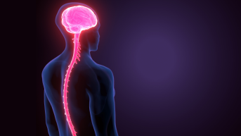 Biomarkers in CNS Drug Discovery and Development