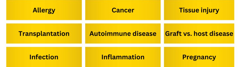 Figure-1.-Conditions-characterized-by-Treg-dysregulation-1024x288