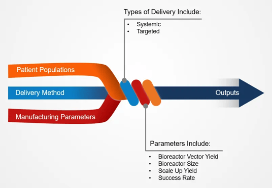 How To Calculate Viral Vector Yields - A Critical Component Of The 'Make vs Buy' Analysis