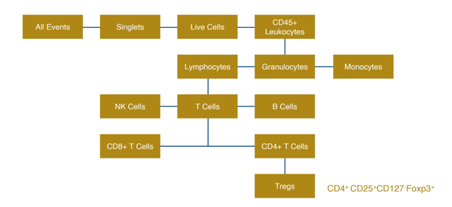 Panel-design-strategy-for-flow-cytometry-panel-for-Tregs-651x299