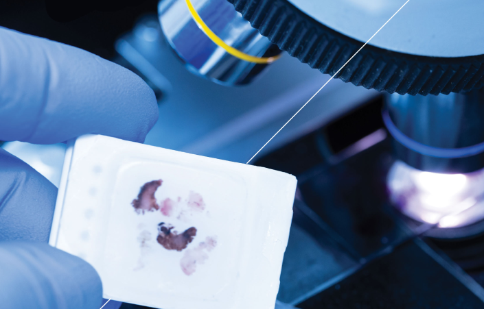 Pathology-Services-Brochure-1 1