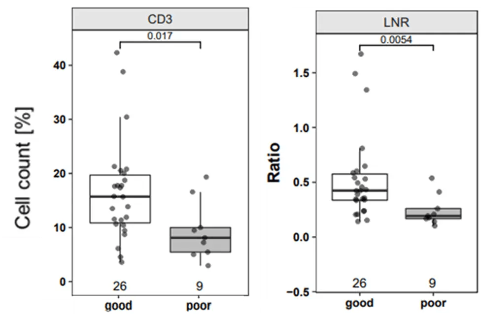 Prognostic CD3 T Cells