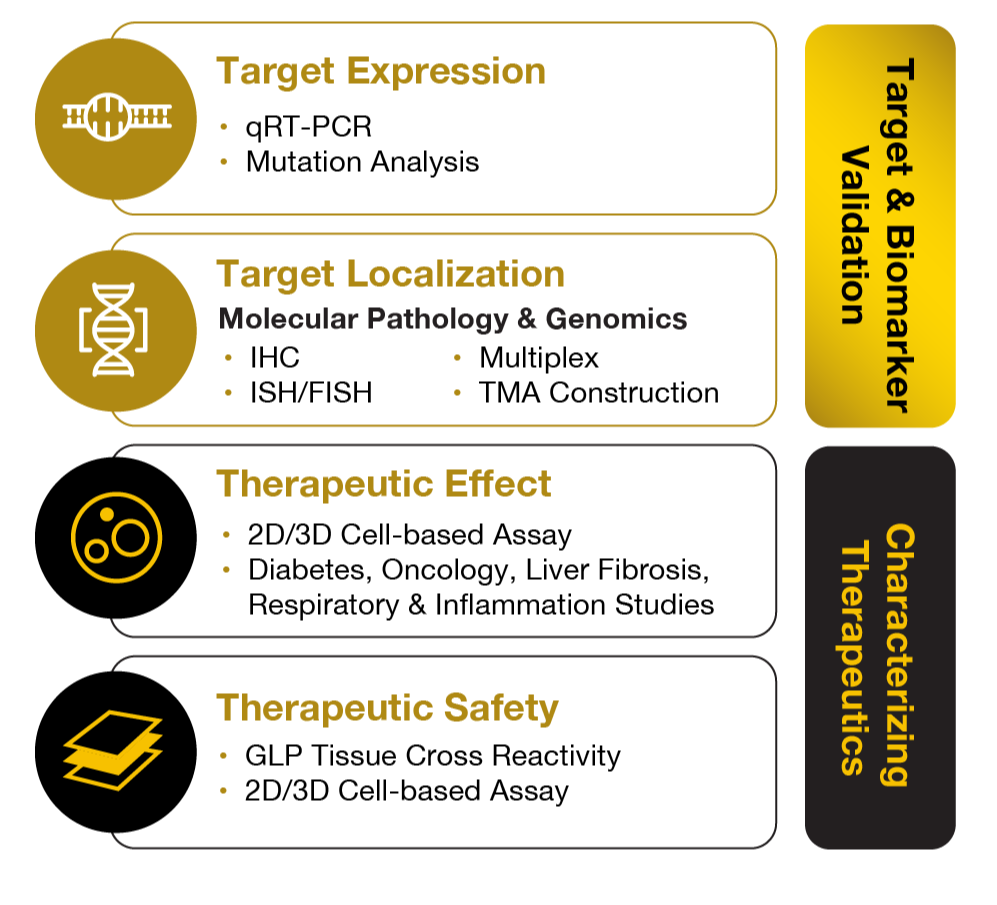 target validation vert-1